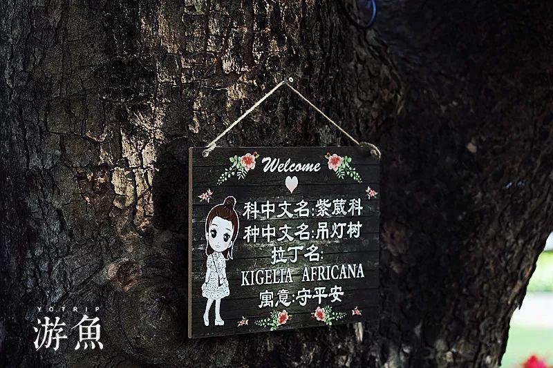 玖月奇迹现状:五登春晚,离婚后王小玮事业高升,王小海杳无音讯
